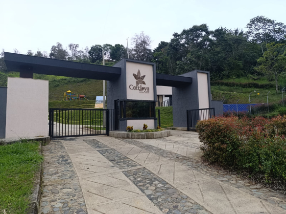 Parcela en venta – Cattleya