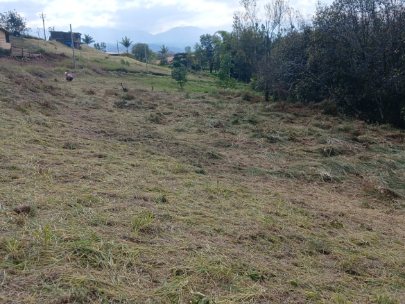 Venta de parcela ( Mamá lombriz)